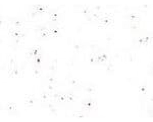 МОЙКА PREMIAL Канопус MPRX14 Арктика (белый с оттенком) матовая 760х490х185
