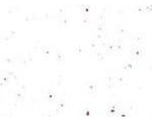 МОЙКА PREMIAL Канопус GPRY14 Белоснежный (белый) глянец 760х490х185