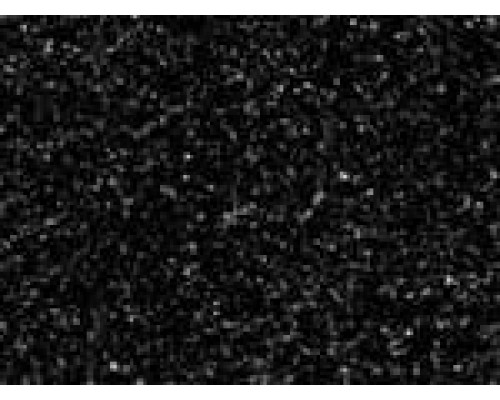 МОЙКА PREMIAL Альтаир GPRY15 Звездная ночь (черный металлик) глянец 640х505х185