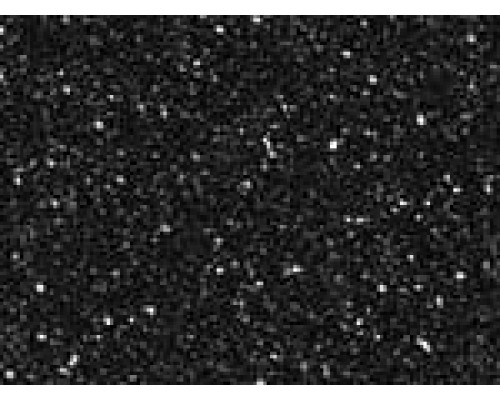 МОЙКА PREMIAL Процион MPRX8 Эклипс (черный) матовая 570х460х170